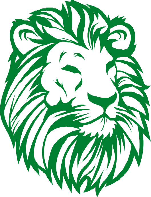 Cimento Leão 32.5 - 50kg